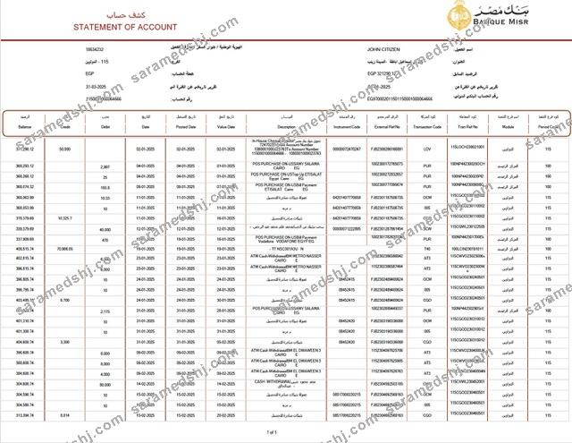 Egypt Banque Misr statement of account Word and PDF template